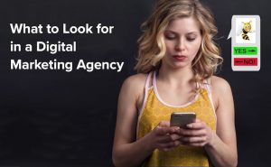 What to Look for in a Digital Marketing Agency