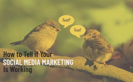How to Tell if Your Social Media Marketing is Working
